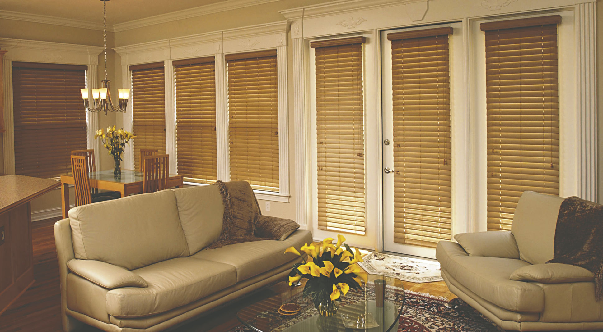 Shutters from Windo Van Go 2